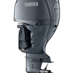 V6 Offshore 225 hp