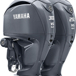 V6 Offshore 300 hp