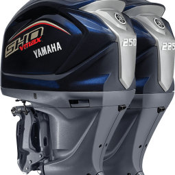 V6 V MAX SHO 250 hp