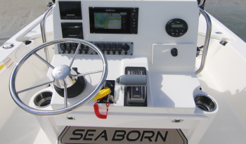 bay-boat-sea-born-fx21-center-console