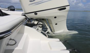 bay-boat-sea-born-fx21-rear-swim-platform