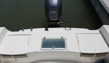 center-console-boat-with-rear-jump-seats-and-live-well