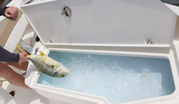 center-console-boats-forward-fish-box
