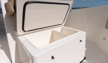 forward-console-sea-freeze-cooler-with-divider