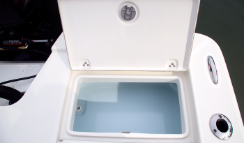 sea-born-fx22-bay-rear-well