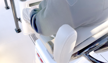 sea-born-fx25-bay-xe-llebroc-seating-with-folding-armrest-down-position