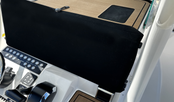 sea-born-multifunction-display-integrated-cover-1