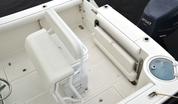 sea-born-sx239-deck-aft-view
