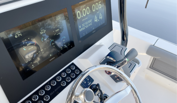 seaborn-fx25-bay-xe-dual-garmin-multi-function-displays-push-button-switches