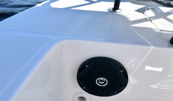 spyder-fx17-flats-boat-all-weather-marine-speakers