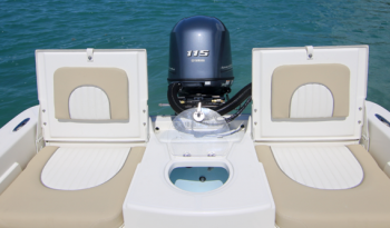 sundance-dx-skiff-0004