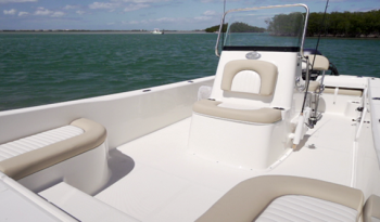 sundance-dx-skiff-0011