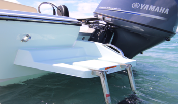 sundance-dx-skiff-0036