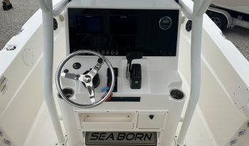 2020-sea-born-lx22-center-console-power-10239372-20260702092955512-1