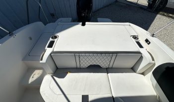 2022-bayliner-dx-2000-power-10224600-20260618102308555-4